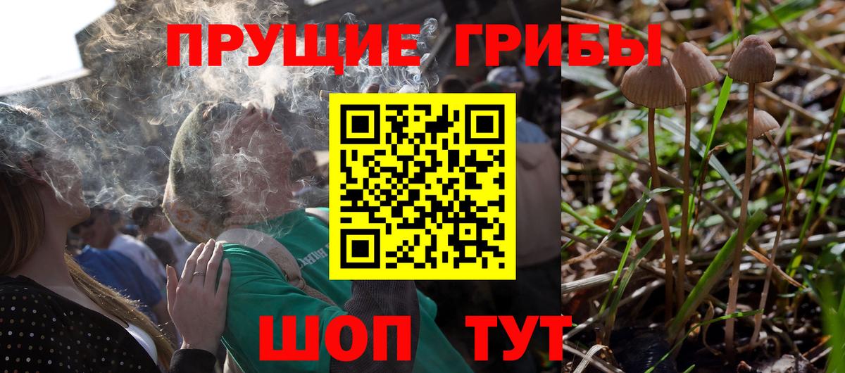 Псилоцибиновые грибы Magic Shrooms Белгород
